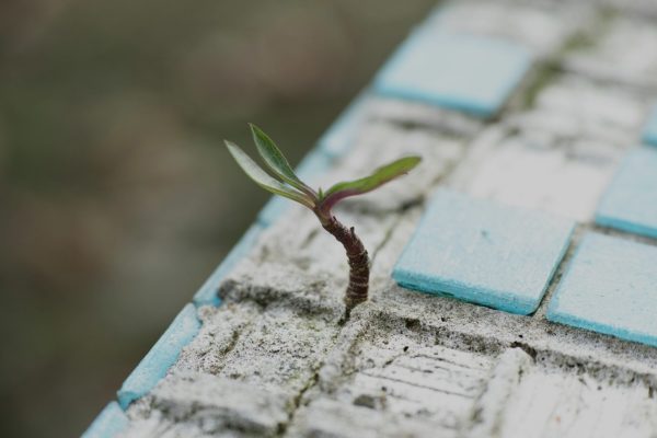 Why These Resources Matter and How You Can Help